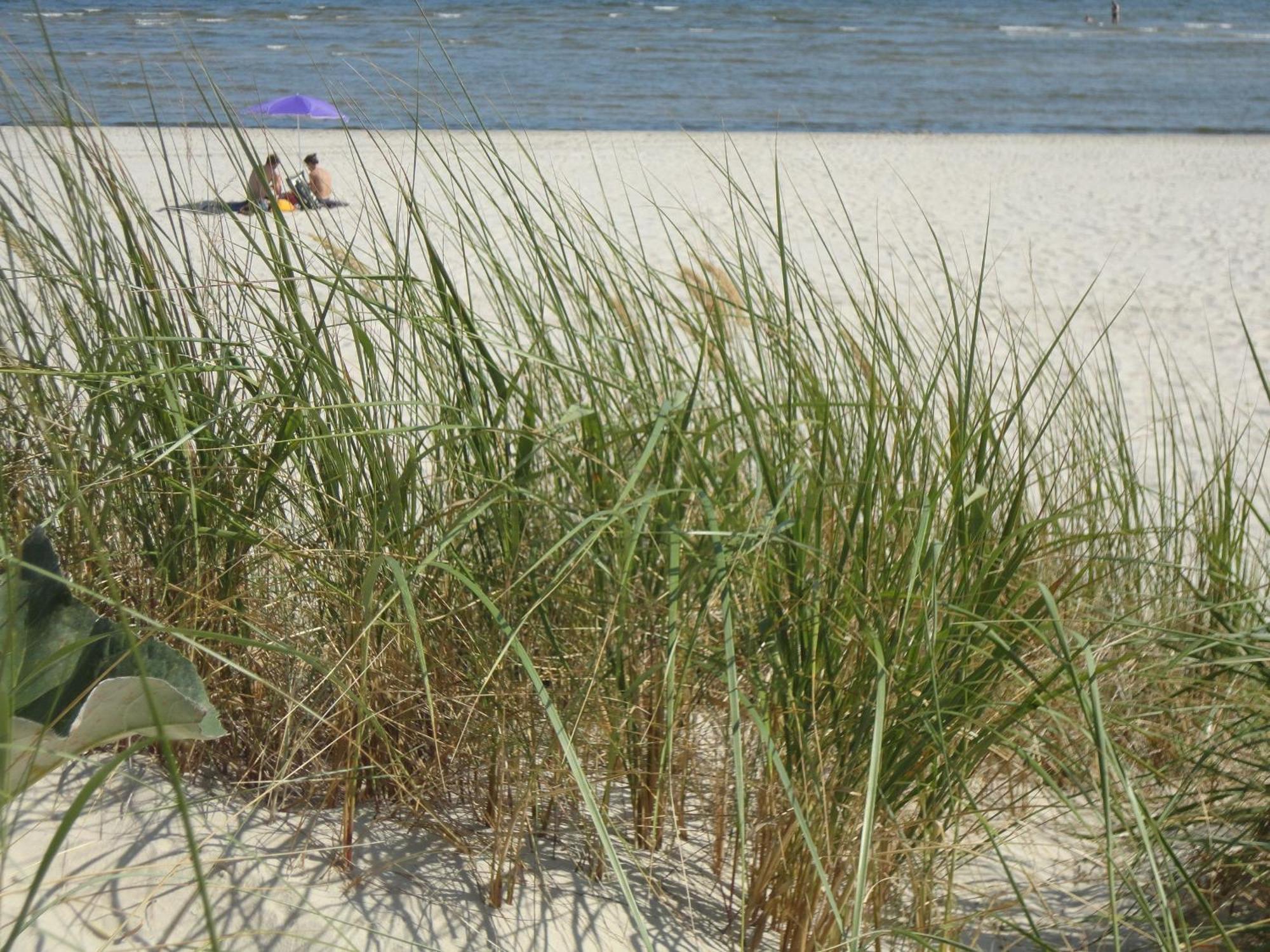 Ostseemuschel Karlshagen ภายนอก รูปภาพ